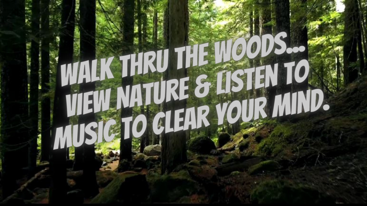 Woods with Text on the image